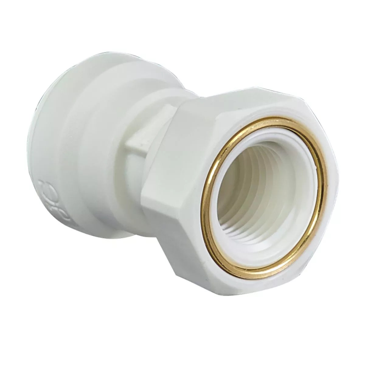 1/8" Female NPT X 1/4" Push Connect Adapter - John Guest