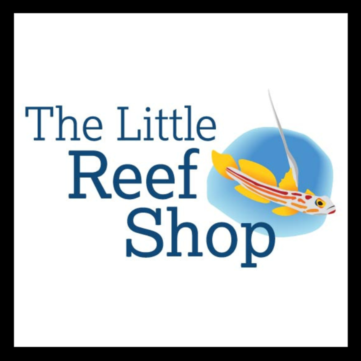 Instore Pick up Marine Invertebrates