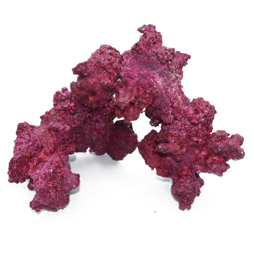 Real Reef Medium Size  Arches 4PCS Box