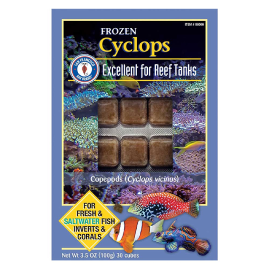 San Francisco Bay Frozen Cyclops Cubes 3.5oz