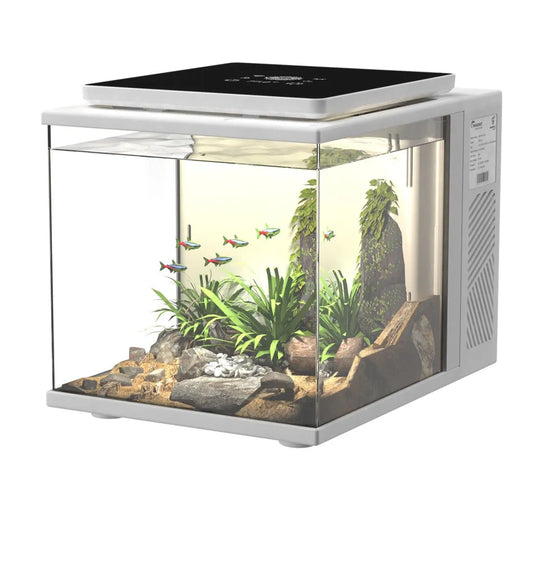 Dice Series Pico Cube Aquarium (2 Gal) Pearl White - Maxspect