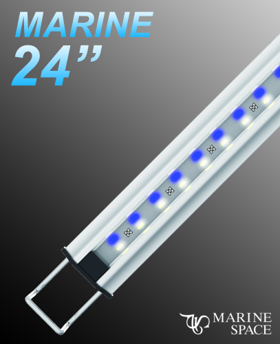 Zetlight MarineSpace LED With Switch