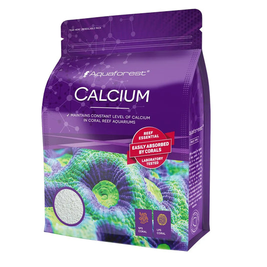 Calcium Powder 850g
