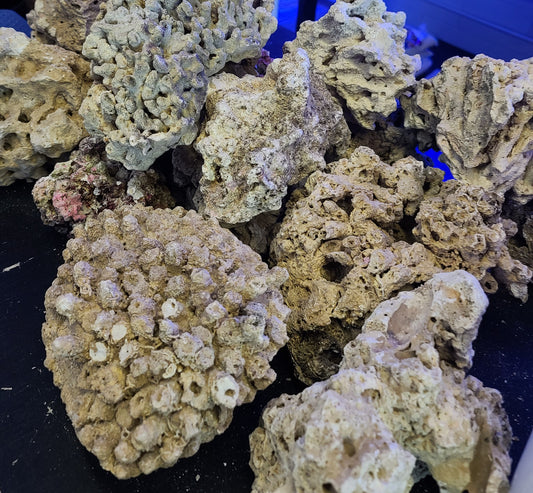 Assorted Reclaimed Dry Rock per lb